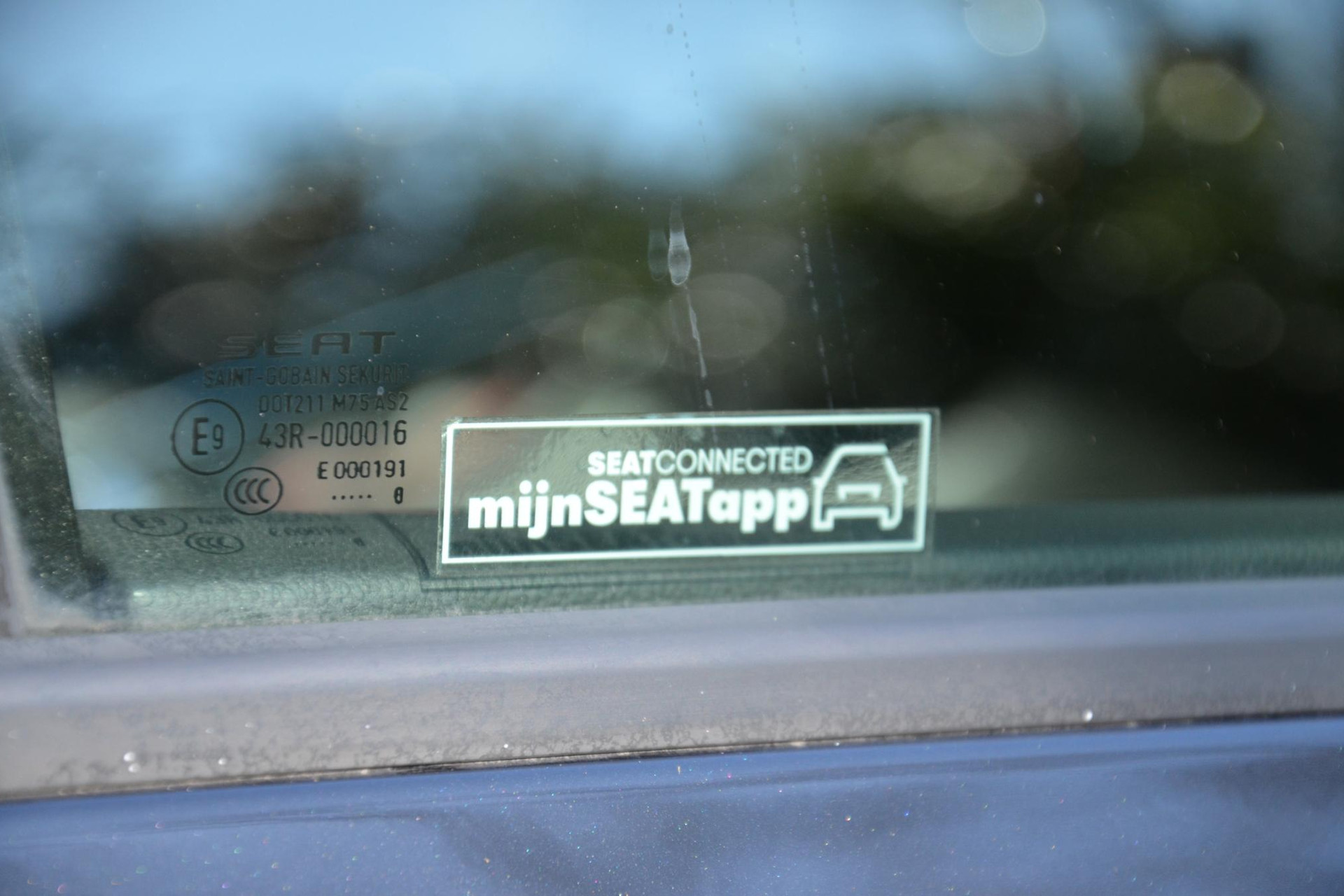44008117-67.jpg