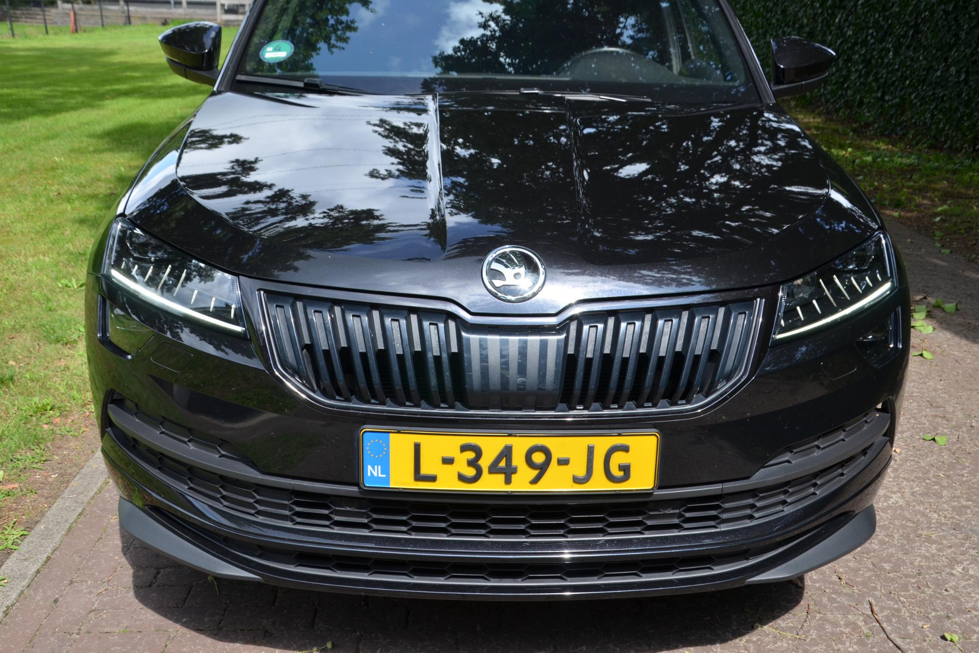 46675702-56.jpg