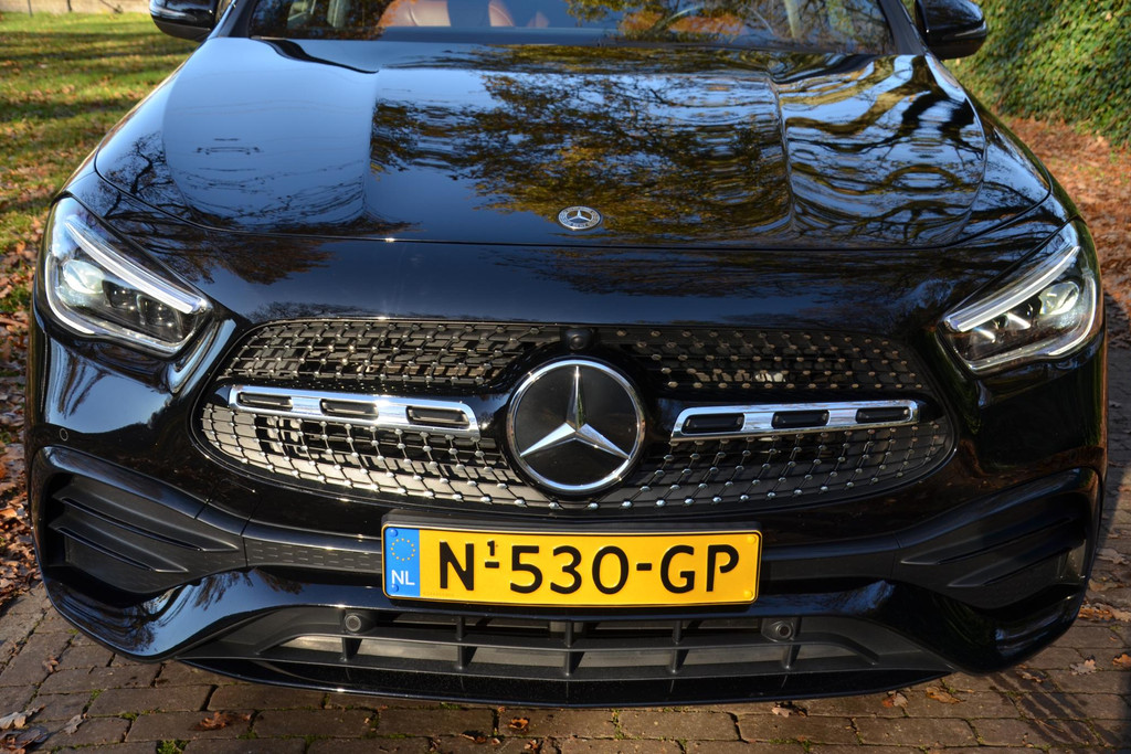 49326168-43.jpg
